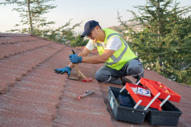 Best Roof Gutter Cleaning  in Oakland, MD
