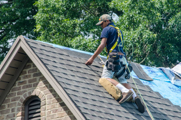 Best Roof Leak Repair  in Oakland, MD